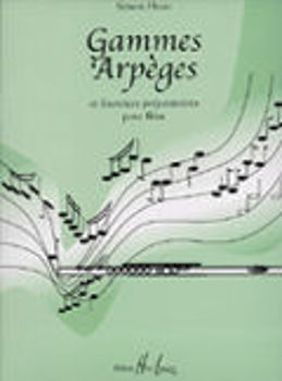 Image de HUNT GAMMES ARPEGES Flute Traversière