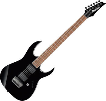 Image de Guitare Electrique IBANEZ Serie RG IRON LABEL 21 Noire Baryton (1B,2F#,3D,4A,5E,6B)