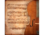 Picture for category Violon