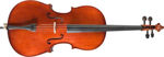 Picture for category Violoncelle