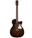 Image de la catégorie Guitares 12 Cordes
